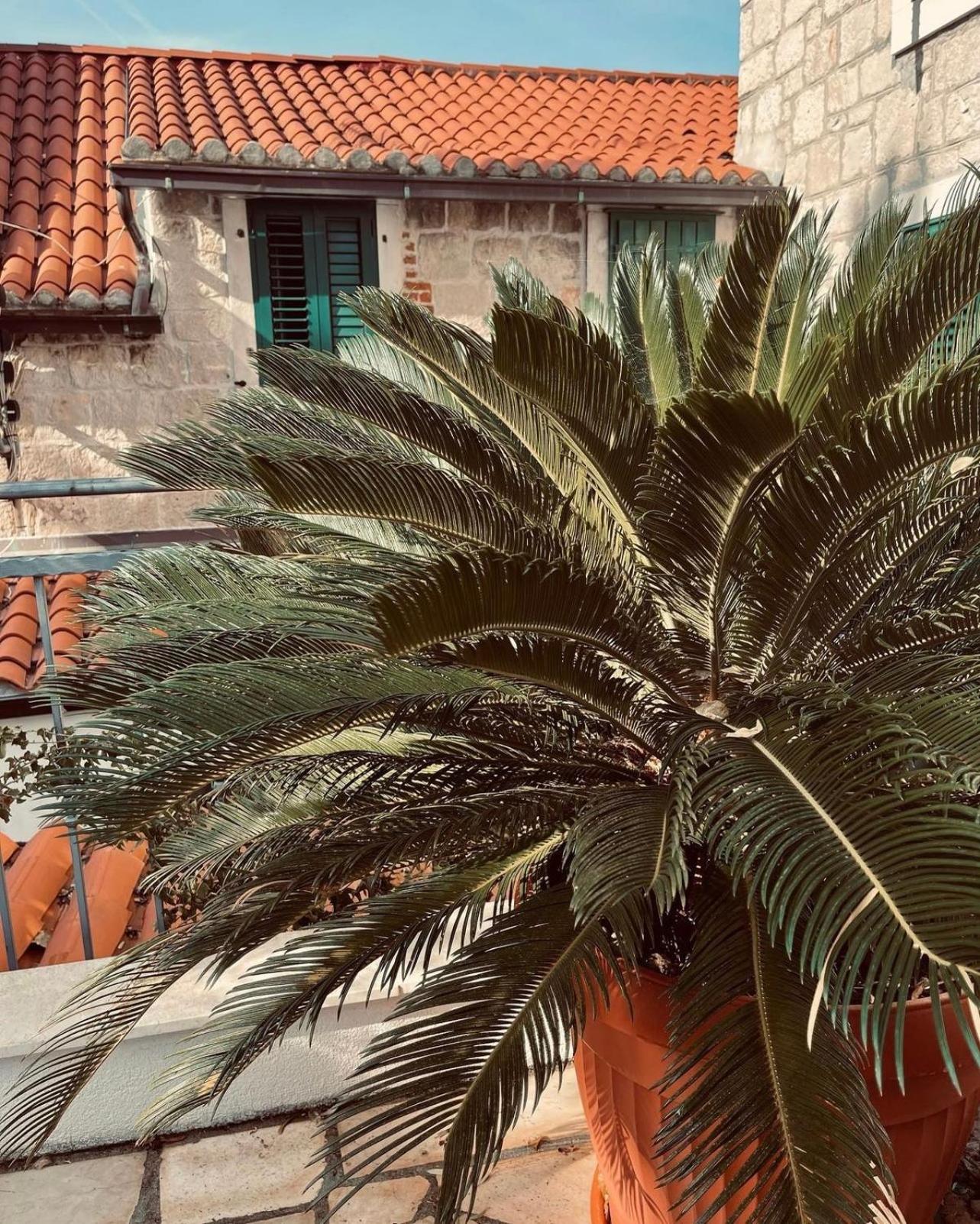 Saint Lucas Apartment
